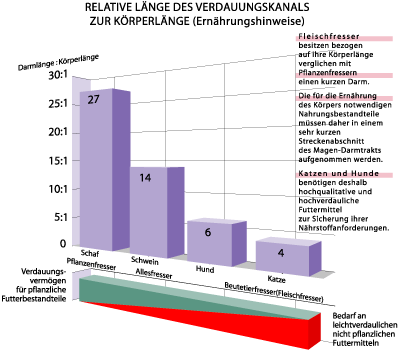 Fressi-Fressi.de von multi MED vision - Berliner Medizinredaktion