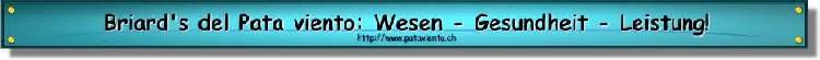 Unsere Hobbyzucht schwarzer, leistungsstarker Briards und viele Informationen zum Franz�sischen Hirtenhund! 